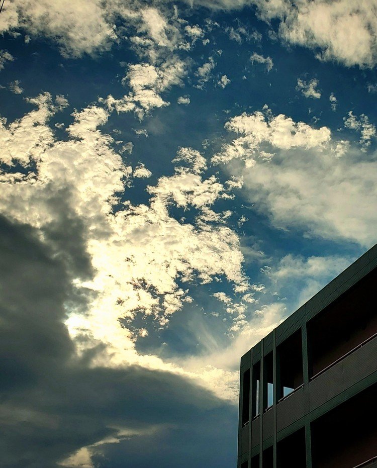 おはよーございます。

雲の形状が夏っぽいとこと秋っぽいとこが混じってる今ならではの空。
風がシャラシャラと舞台装置みたいにソレを流しておりました。

爽やかな日を。


#sky #autumn #love #moritaMiW #空 #秋 #佳い一日の始まり