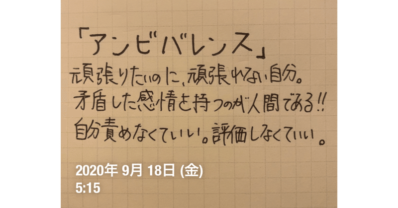 「好きなのに、嫌い」。人の矛盾する心とは❓❓