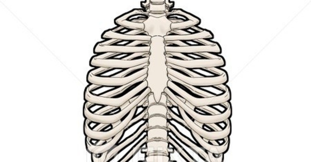 意外と気づかない 肋骨骨折 あばらに痛みが続くときはお医者さんに相談を 佐藤健 Note 意外と気づかない 肋骨骨折 あばらに痛みが続くときはお医者さんに相談を 佐藤健 Note