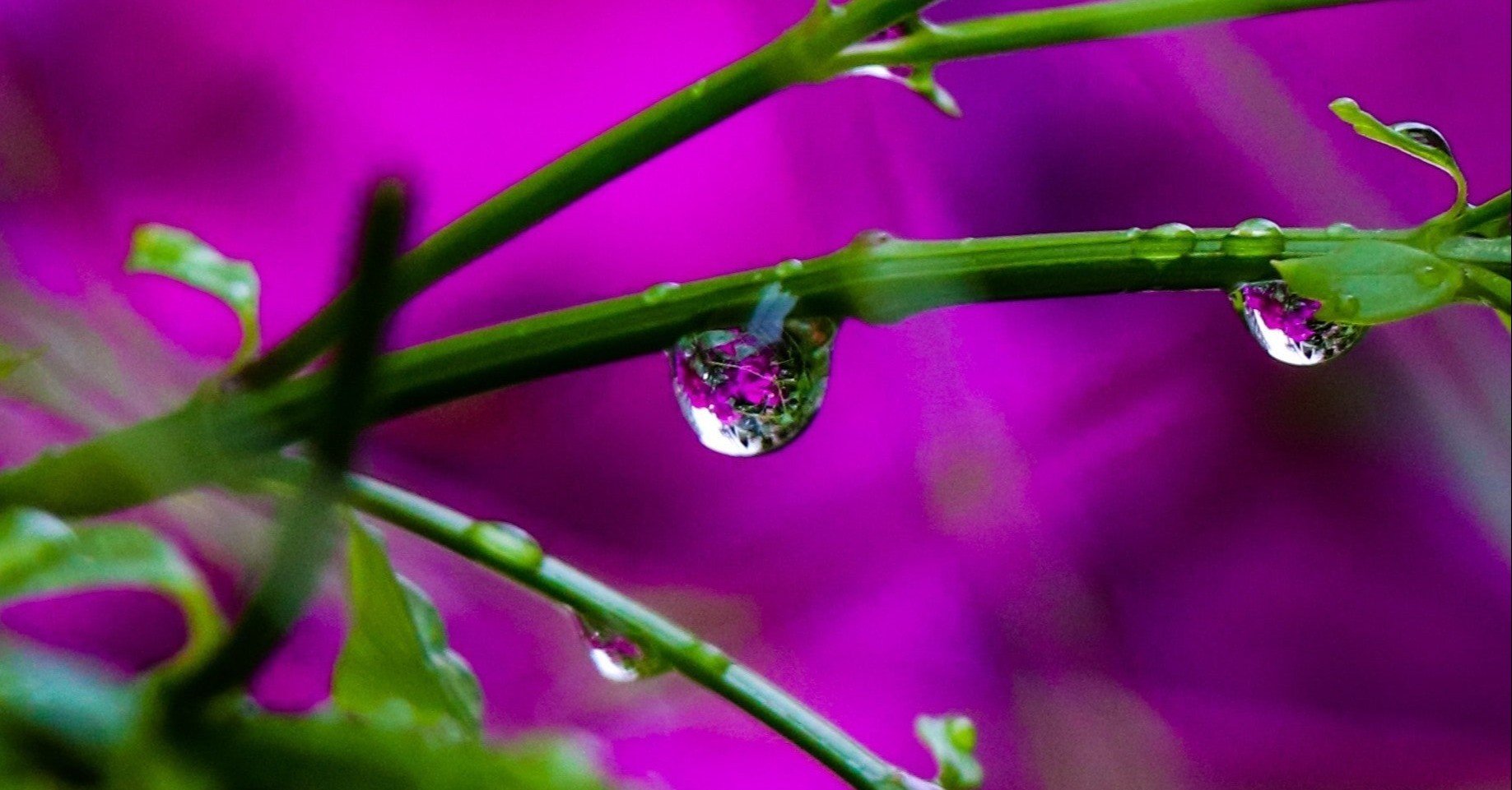 女子大生がソクラテスとアリストテレスを２時間で調べてみた結果まとめ 米良克美 めらっち Note