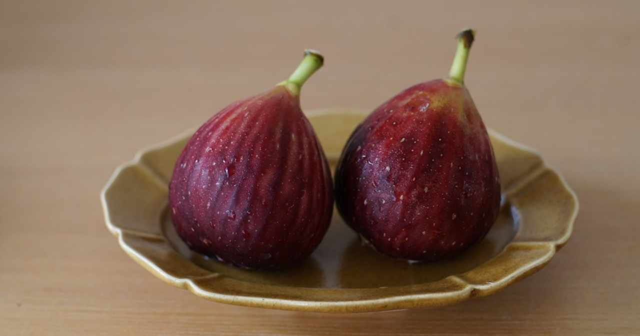 グロテスク の新着タグ記事一覧 Note つくる つながる とどける