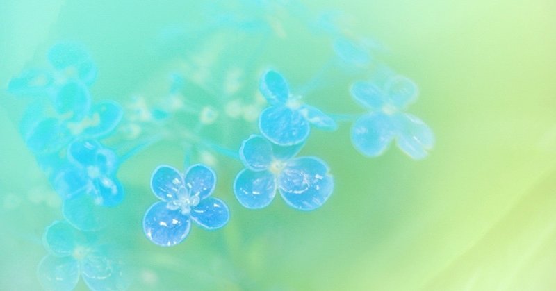 妊娠初期症状 の新着タグ記事一覧 Note つくる つながる とどける