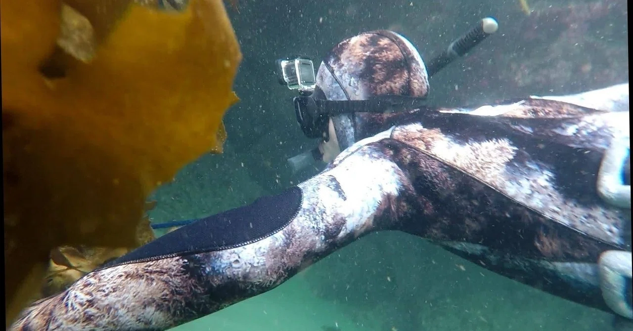 魚突きをはじめよう！初心者に必要な持ち物リスト｜しまこ