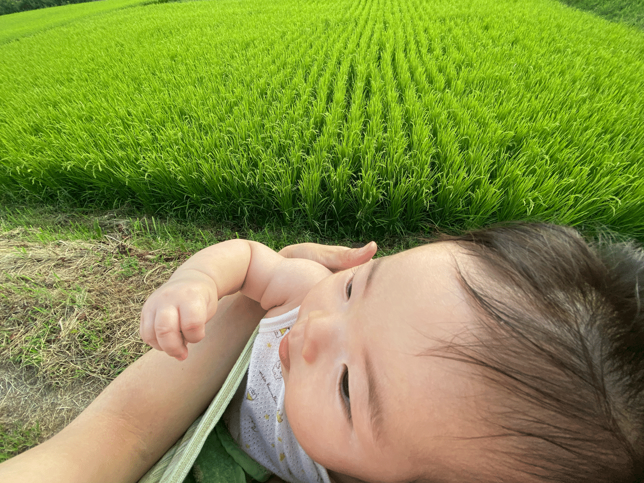 田舎暮らしでの赤ちゃんのお散歩 ご近所編 こぐま日和 伊那谷 田舎で子育て Note