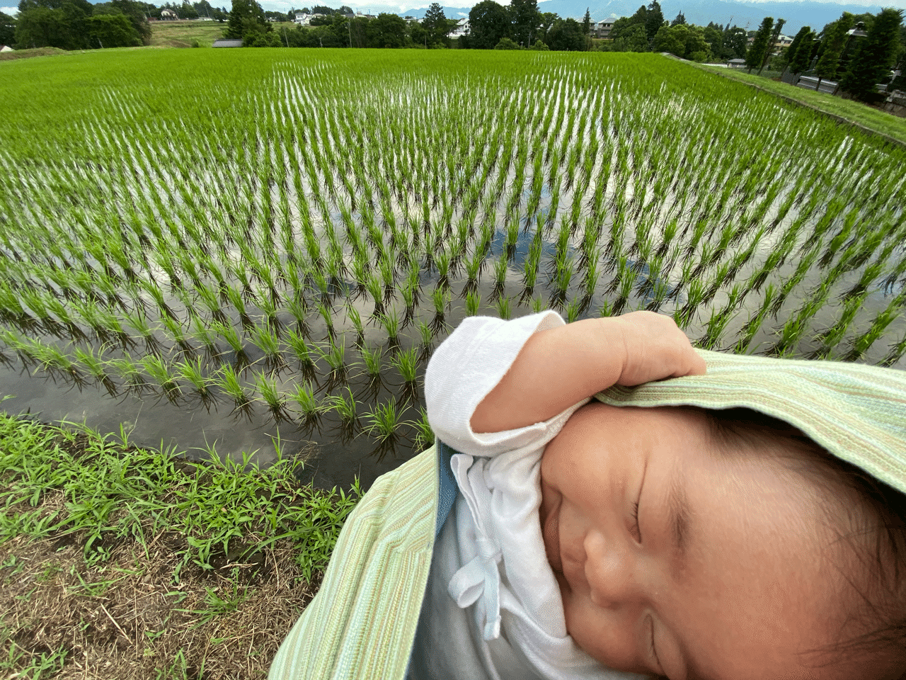田舎暮らしでの赤ちゃんのお散歩 ご近所編 こぐま日和 伊那谷 田舎で子育て Note 田舎暮らしでの赤ちゃんのお散歩 ご近所編 こぐま日和 伊那谷 田舎で子育て Note
