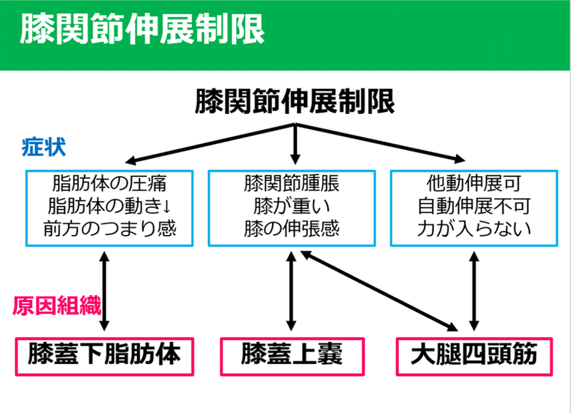 膝関節伸展制限 膝関節前面組織の影響 Y K Note