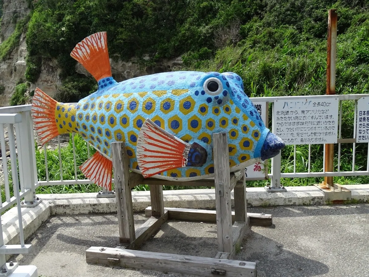 画像5