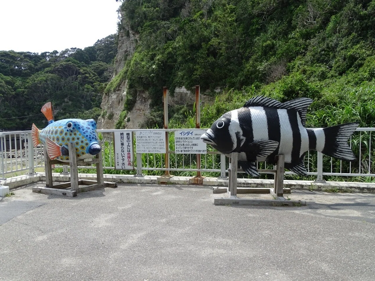 ZASO:014】千葉県 #かつうら海中公園海中展望台｜ZASOちゃんねる