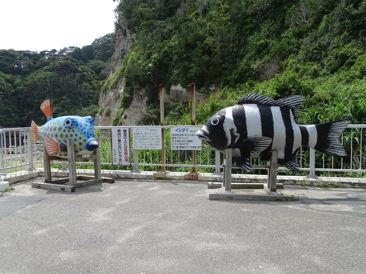 画像4