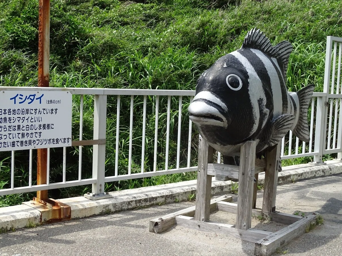 画像6