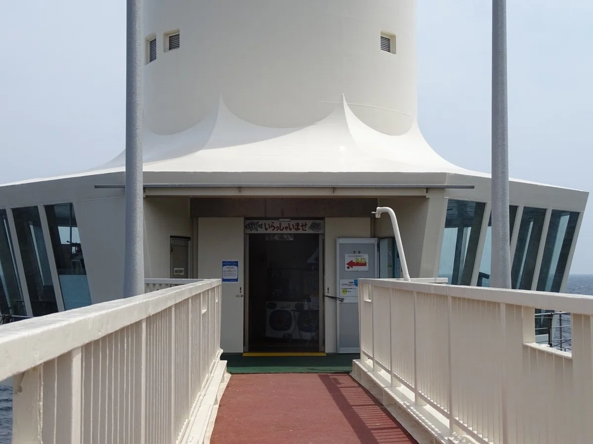 画像7