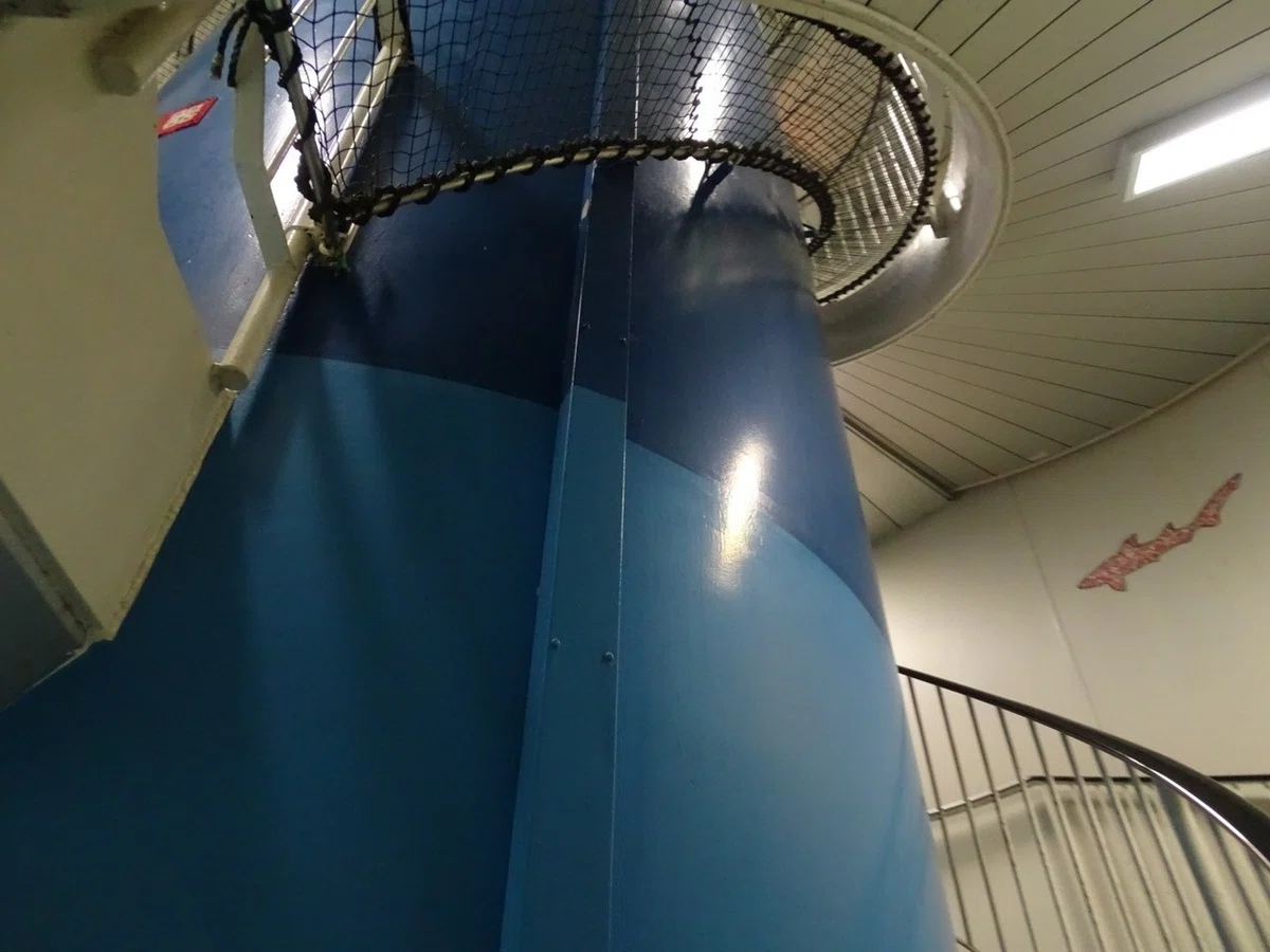 画像10