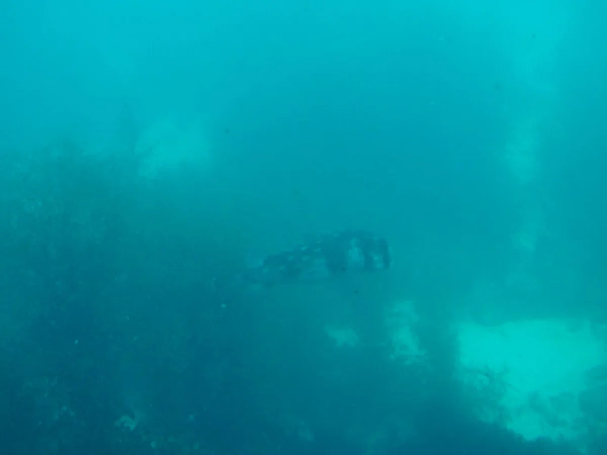画像18