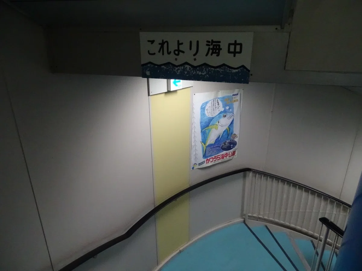 画像19