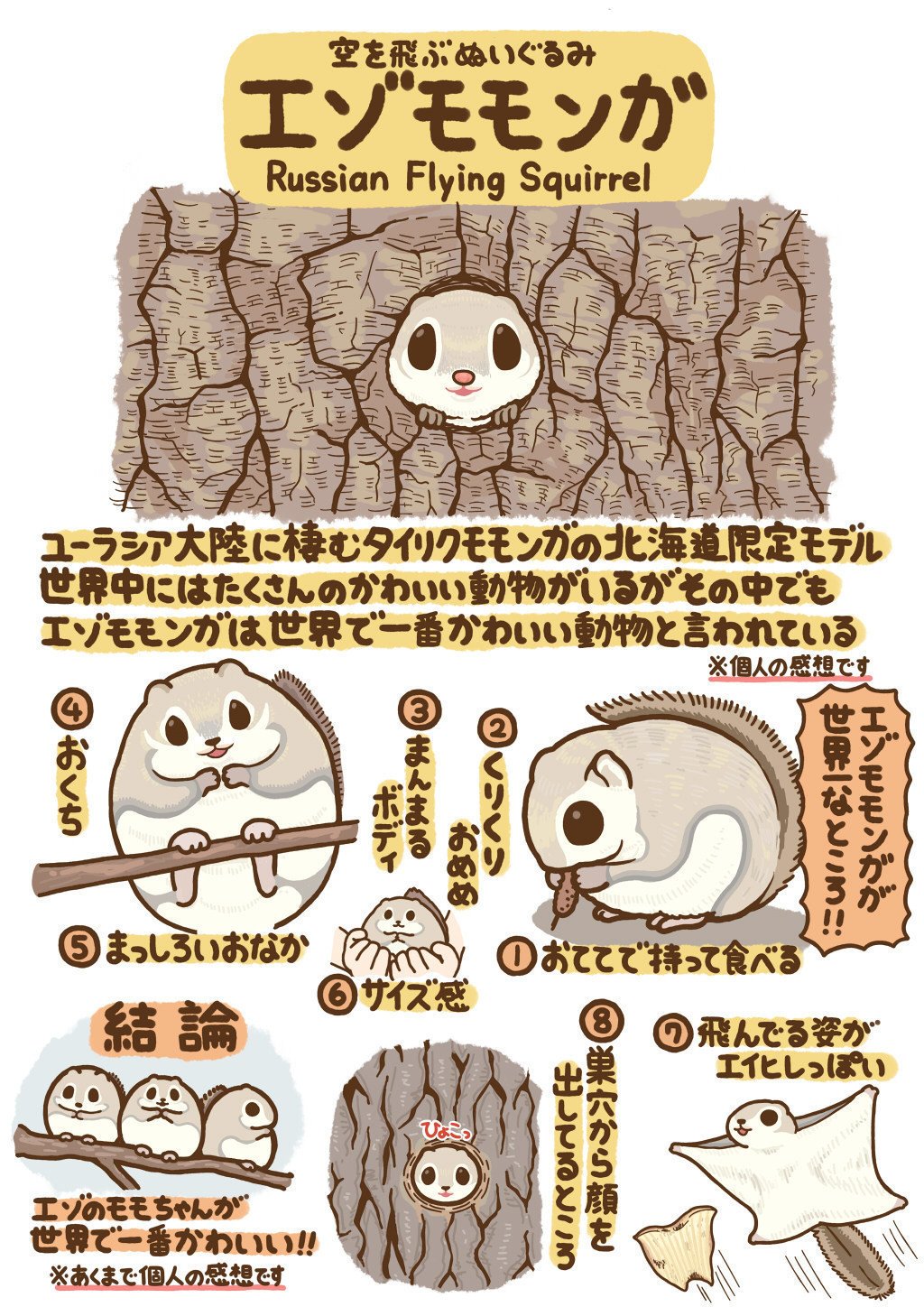 いきもの図鑑 エゾモモンガ 高橋のぞむ Note いきもの図鑑 エゾモモンガ 高橋のぞむ Note