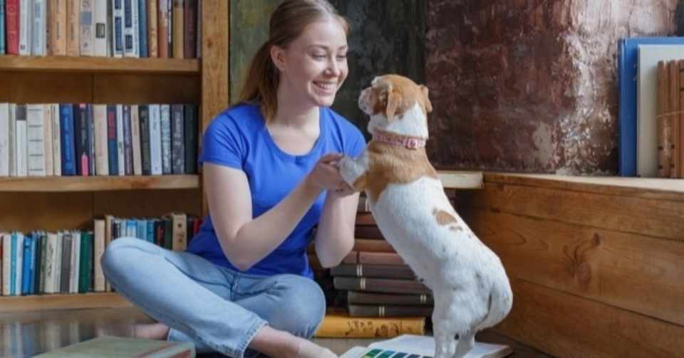 愛犬が掃除機で吠える どうしたら吠えなくなるの 完全版 Inuo Note