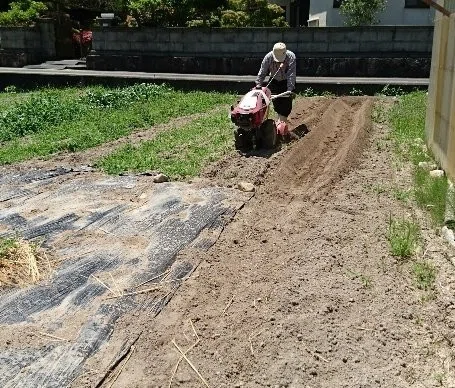 画像17