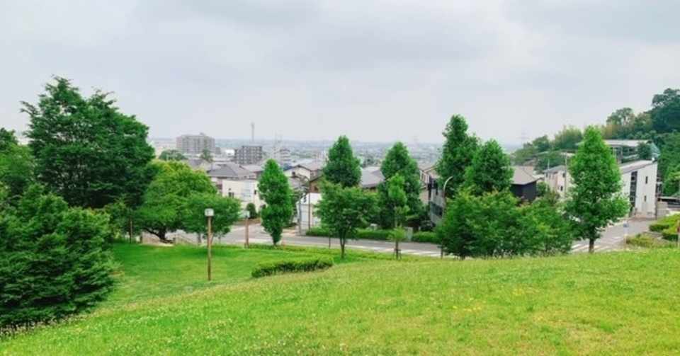 スタッフおすすめ本 植物はすごい 七不思議篇 知ってびっくり 緑の秘密 稲城市立図書館 公式