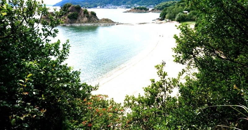 歌舞伎町の女王 の新着タグ記事一覧 Note つくる つながる とどける