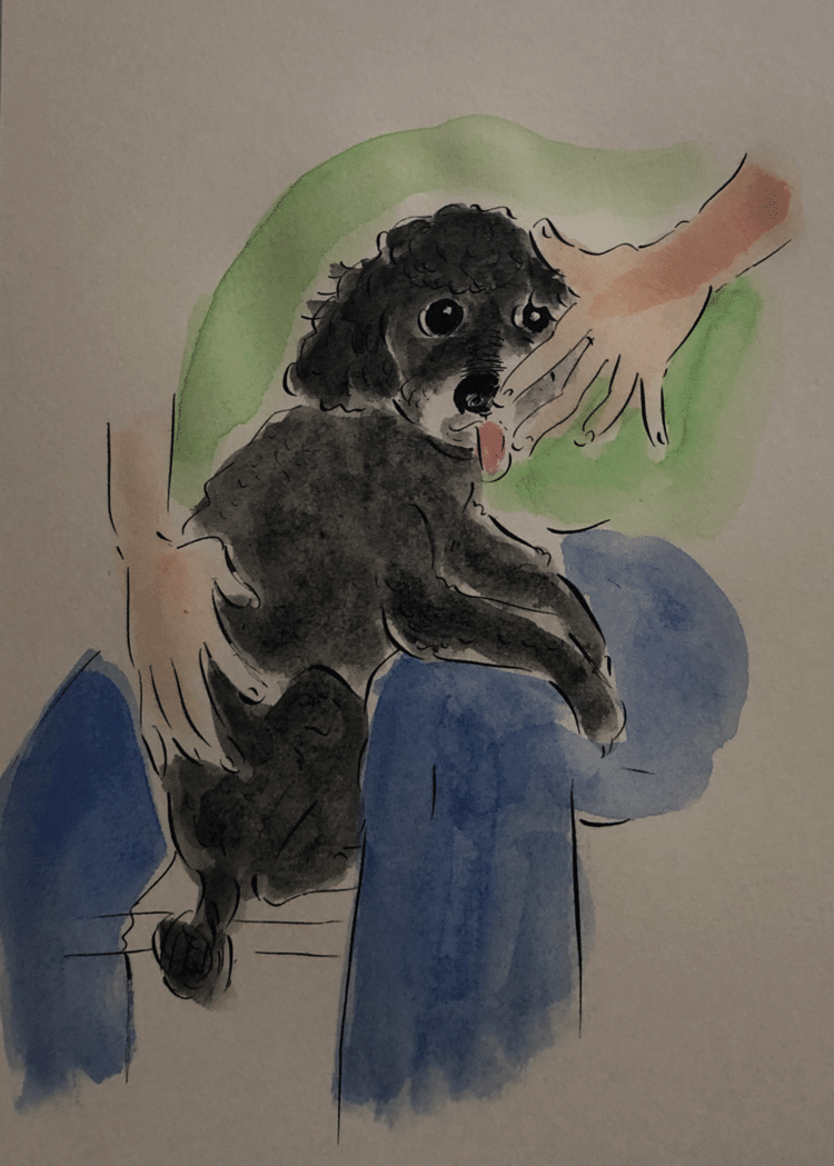 いつもはペロペロ舐めた後に小・大便をする愛犬。今朝は順番が逆に。すると舐めるは舐める。延々と…仕事に間に合わねー！
#愛犬　#犬　#イラスト　#日記　#絵