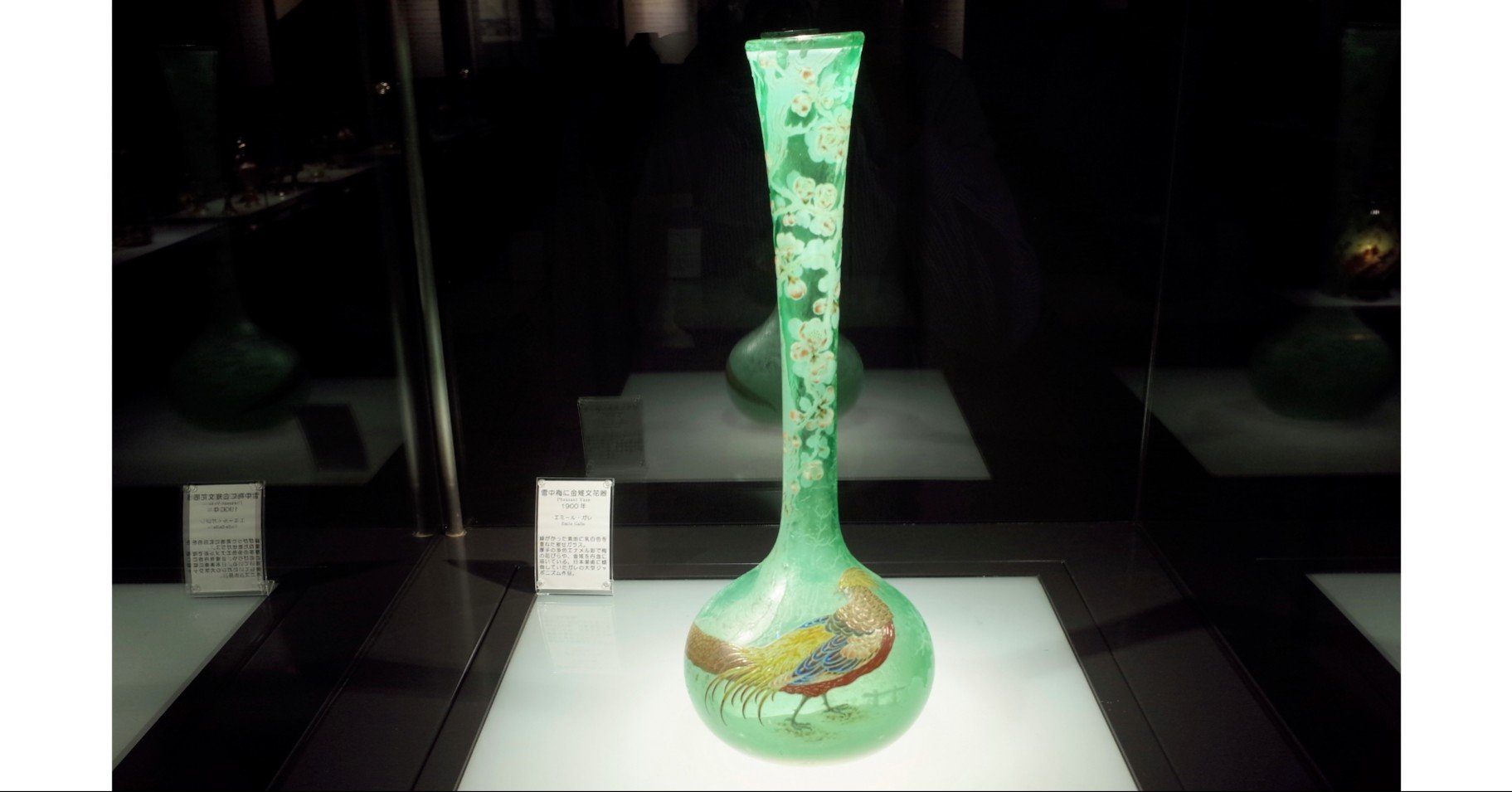 瑠璃も玻璃も 雑記草 Note