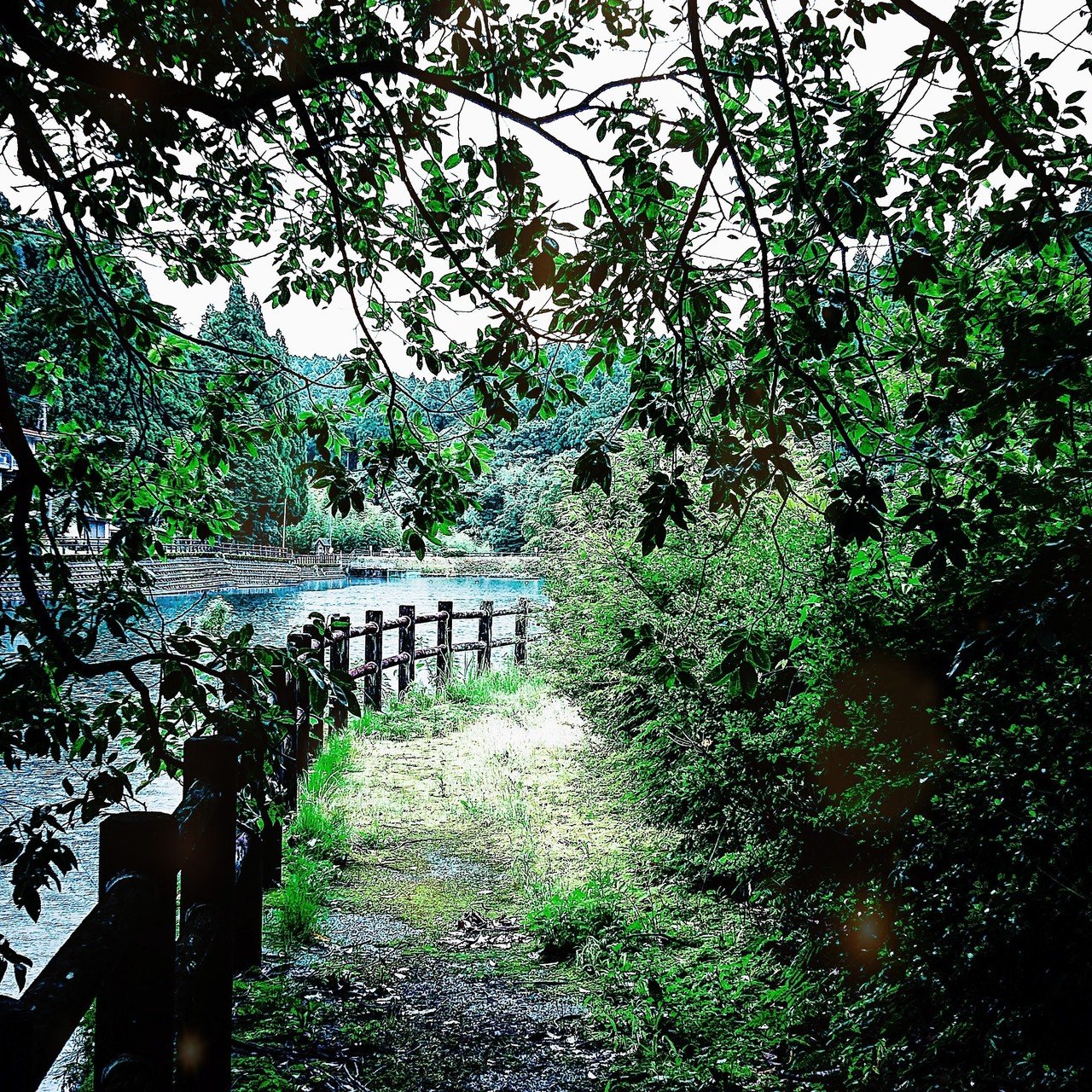 池のある公園 Takachihomirai Note 池のある公園 Takachihomirai Note