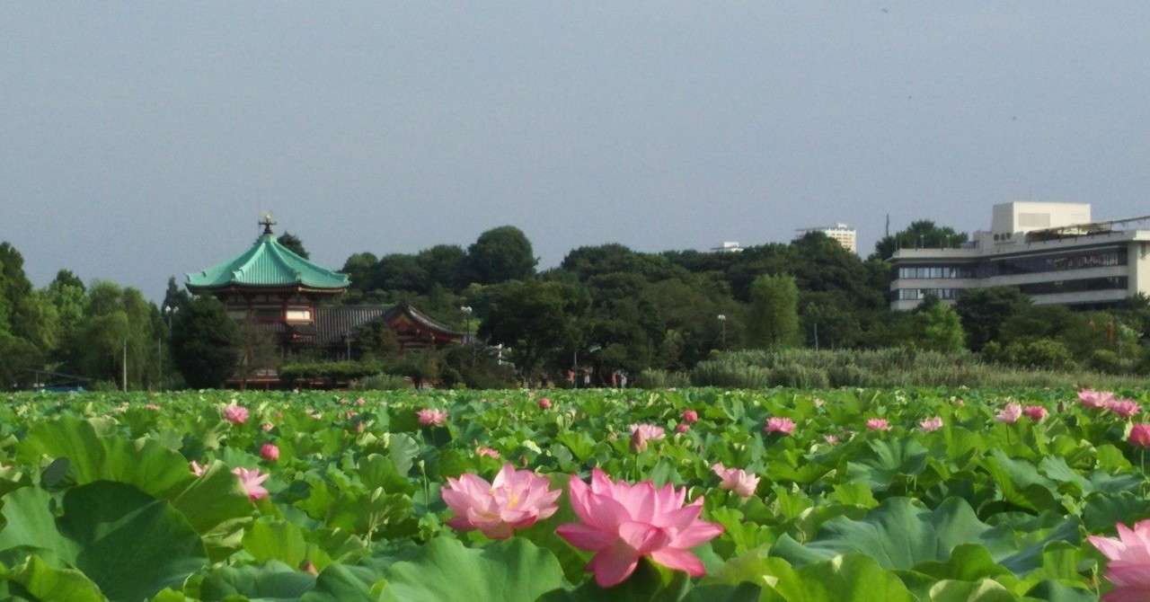 入院をするということは 今生の別れを意味することだってある Withコロナ Afterコロナの容赦ない現実 笑顔倍増経営研究所 Npo法人日本ナレッジ マネジメント協会 理事長 公認会計士 税理士 笑顔倍増経営アドバイザー 岩田浩一 Note