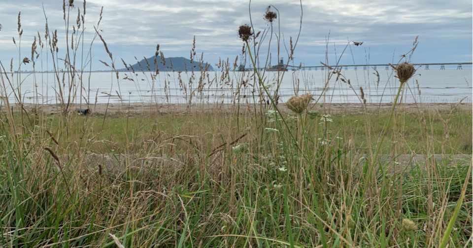 環境問題への高校生の気付き 末広繁和 Note