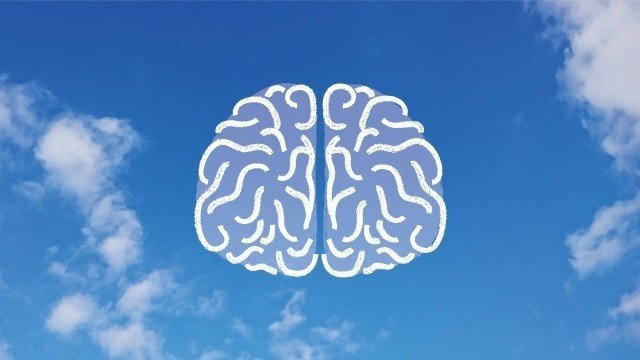 脳イメージ