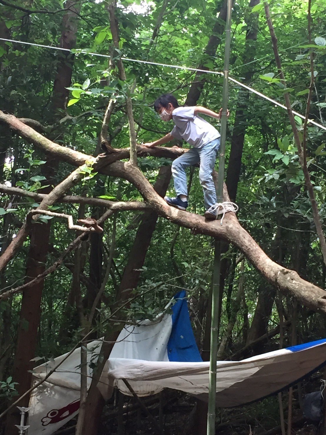 放課後まほらbo第十四話 危険な遊び の効果 放課後まほらbo Note