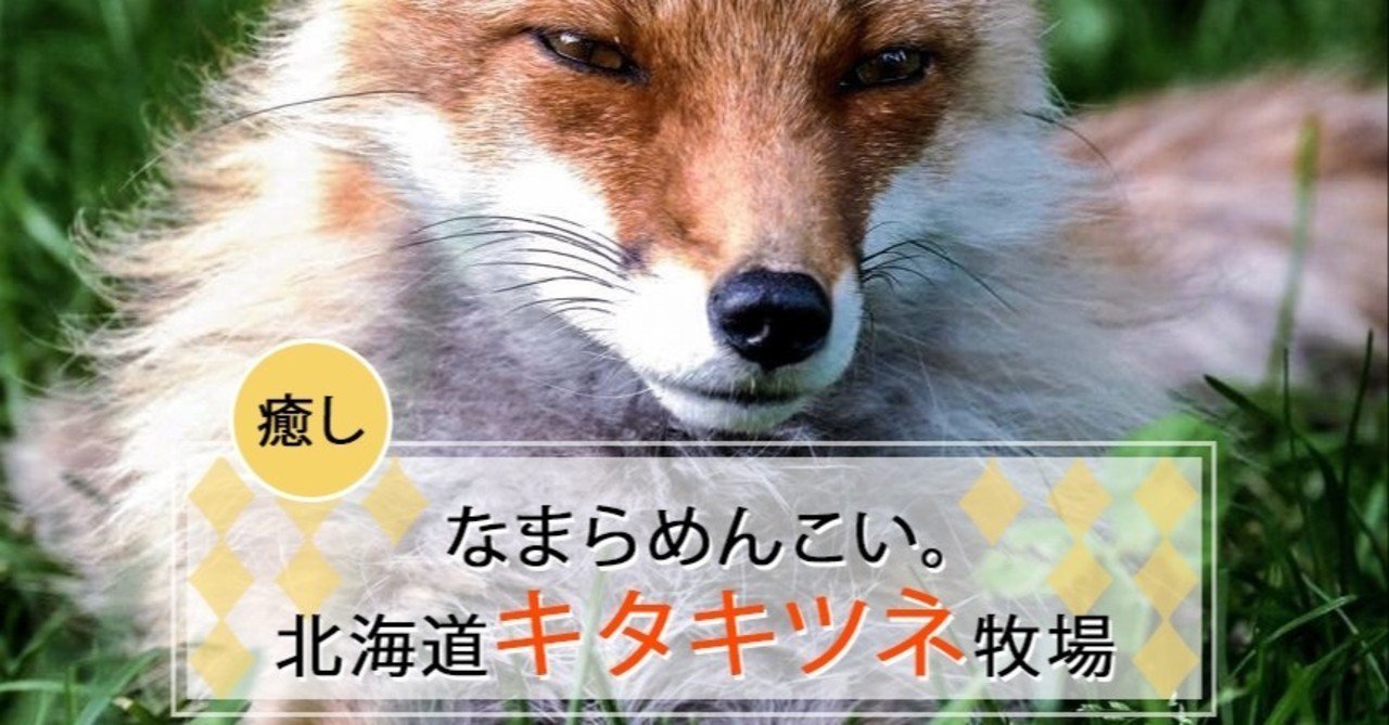 狐 飼い たい 狐のお面が買える場所を知りたい