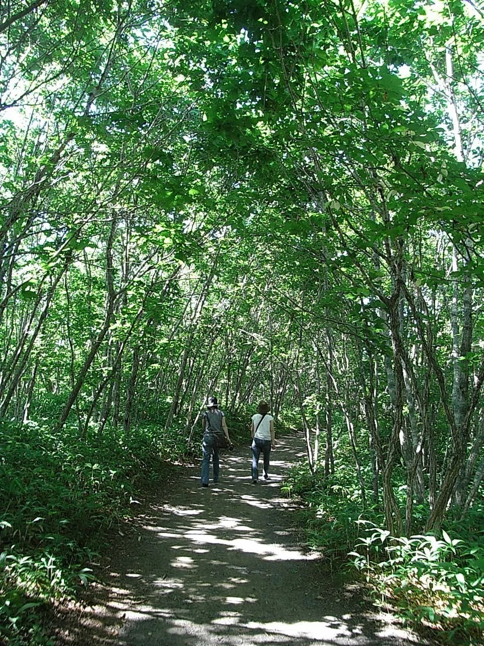 夏旅 2007 08 15 (3)