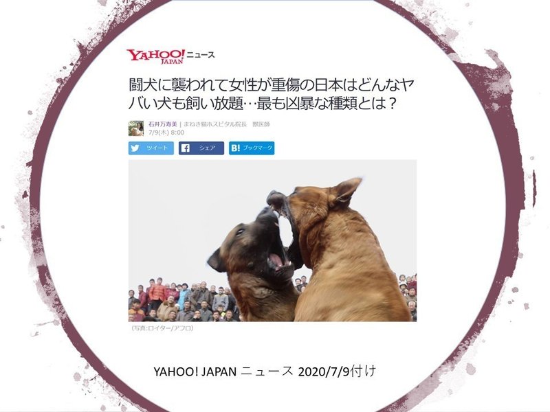 犬種差別 について考える ひめりんご 平蔵 Himeringo Heizo Note