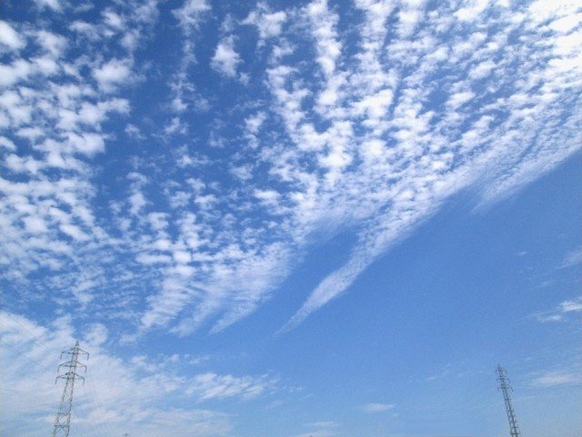 うろこ雲 いわし雲 さば雲 名前は違うけれど どれも同じ巻積雲の俗称らしい 見た印象で好きに呼んでもいいらしい それならば スピッツファンなら どれを見ても うろこ雲 と言うね 暑すぎた夏が終わる Shiraishi Kimae Note うろこ雲 いわし雲 さば雲 名前は違うけれど どれも同じ巻積雲の俗称らしい 見た印象で好きに呼んでもいいらしい それならば スピッツファンなら どれを見ても うろこ雲 と言うね 暑すぎた夏が終わる Shiraishi Kimae Note