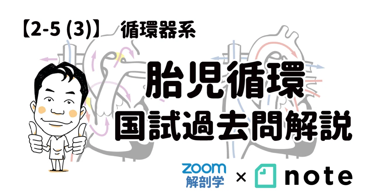 2 5 3 胎児循環 国試過去問解説 黒澤一弘 Note