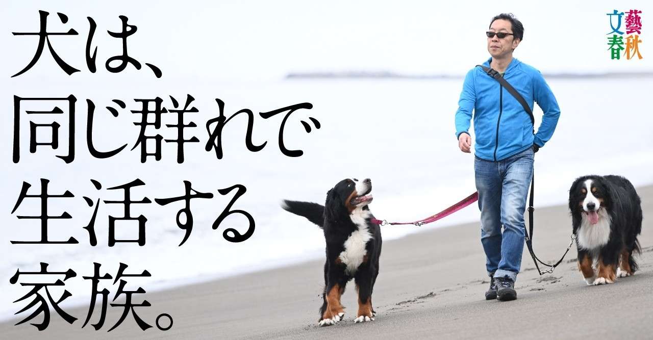 新直木賞作家の警鐘 日本人と犬 ペットから家族へ 馳星周 文藝春秋digital