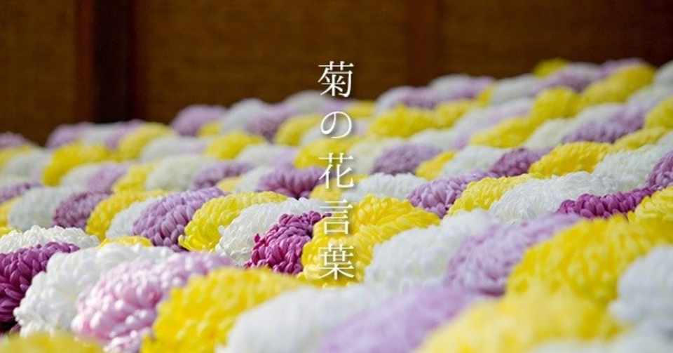 キク 菊 9月日 誕生花 花咲かせおじさん すべての人に花を Note