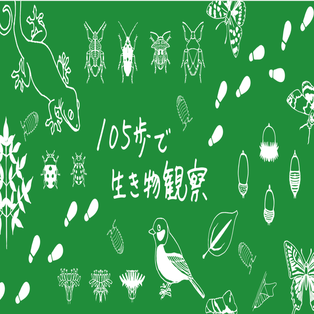 ギザギザ と ツルン 葉っぱの形を観察してみた 浜松科学館 みらいーら
