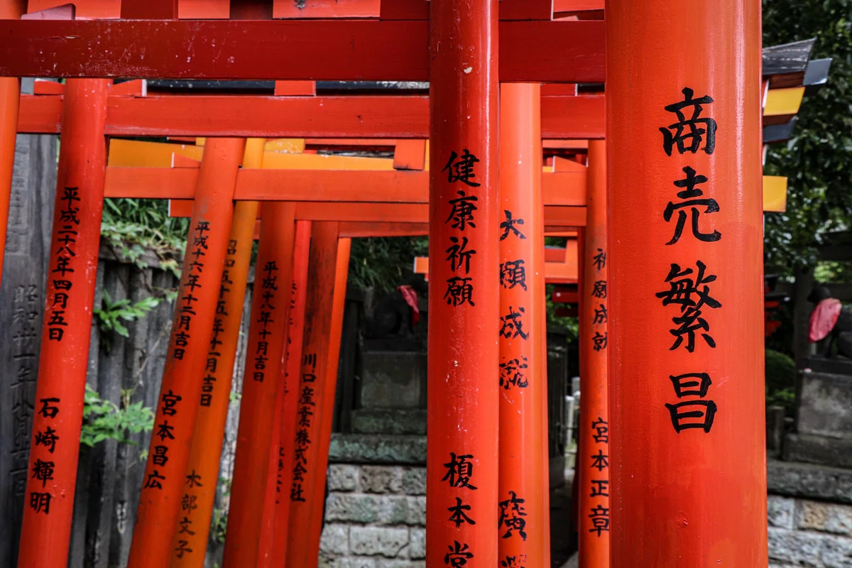 画像