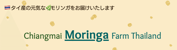 スクリーンショット 2020-09-19 18.11.53