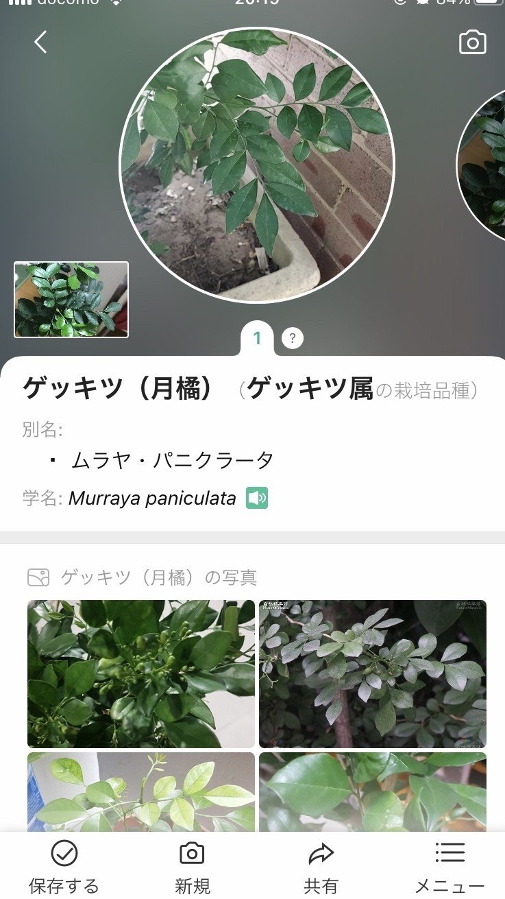 撮ったら判る植物図鑑 ミーミー Note