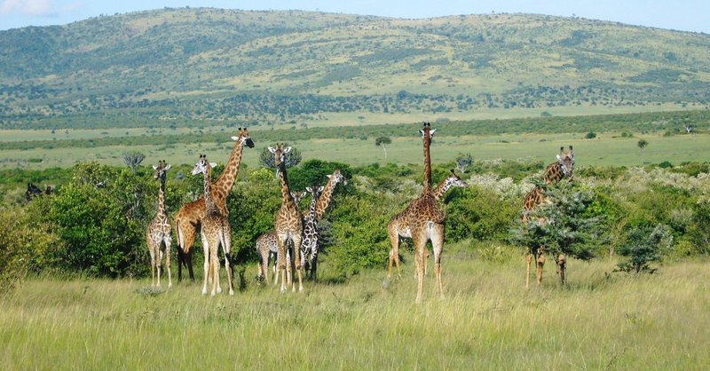 強く望む事はいつか実を結ぶ Mr Children 進化論 Hisataroh358 Note