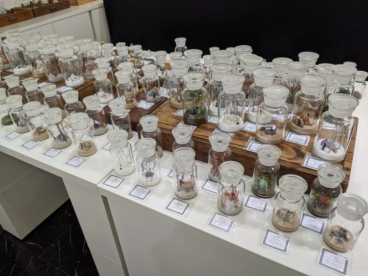 大量の作品を展示する事にこだわる理由｜時計荘