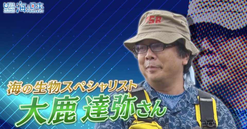 元 須磨海浜水族園で飼育員歴25年 神戸の海を愛す大鹿達弥さんにインタビュー 監修動画の見所を聞いてみた 海の事故ゼロの未来をつくるノート