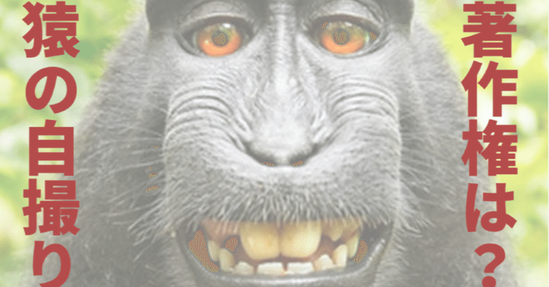 サルの自撮り の著作権は誰にあるのか 前代未聞の権利論争に迫る 仁大 ばなし Willy Nilly 編集長 Note