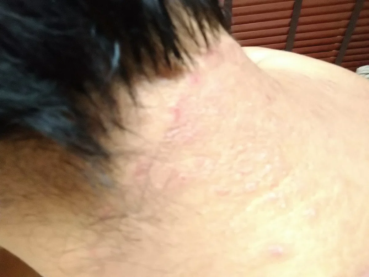 画像7