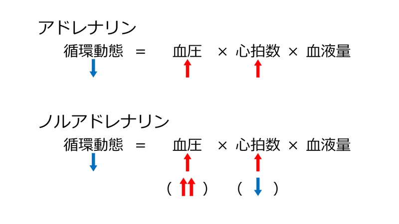と ノルアドレナリン アドレナリン