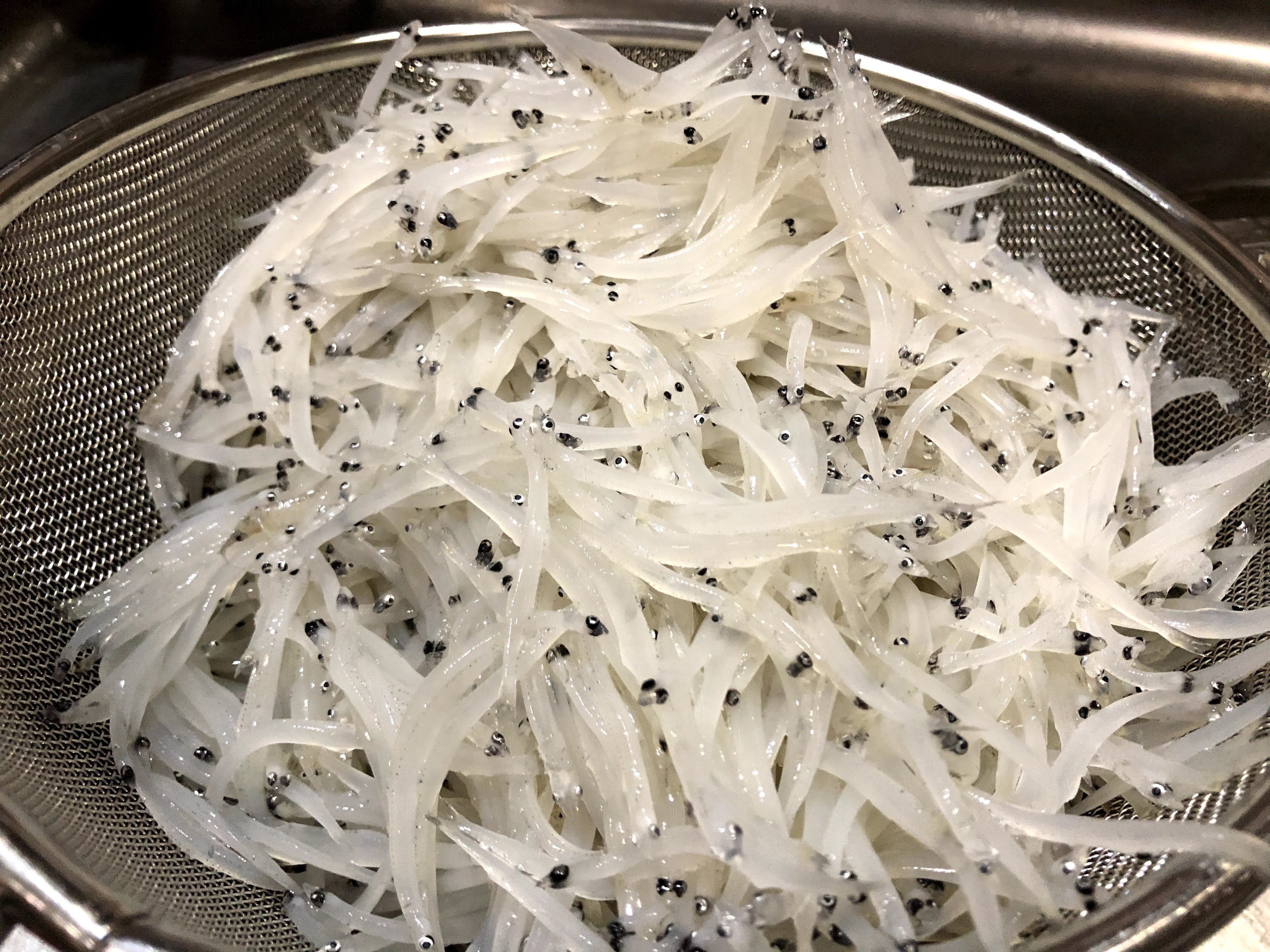 シラウオとの出会い 鳥山雅庸 Note