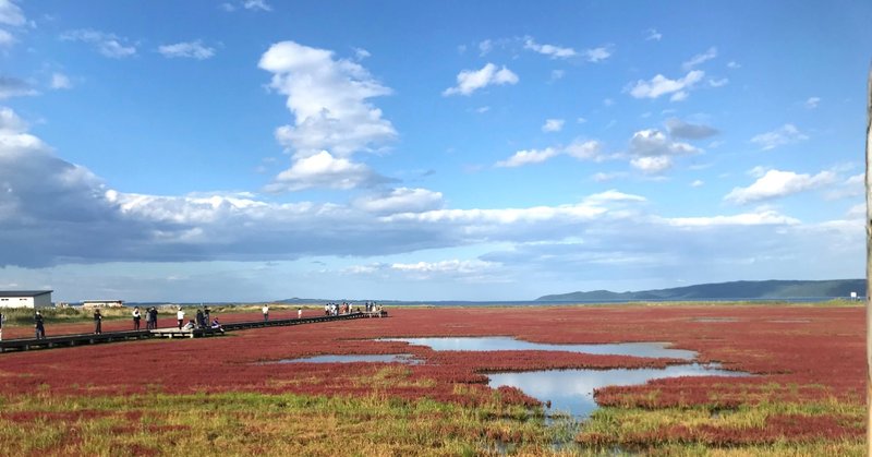 美幌峠の白い雲海と能取湖の赤い絨毯