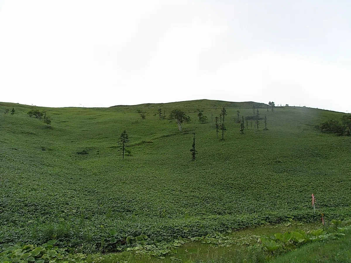 夏旅 2007 08 17 (9)